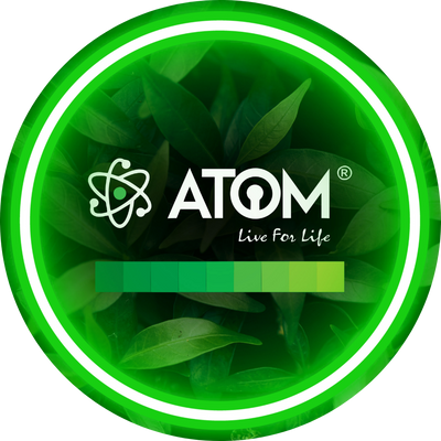ATOM LOCKS