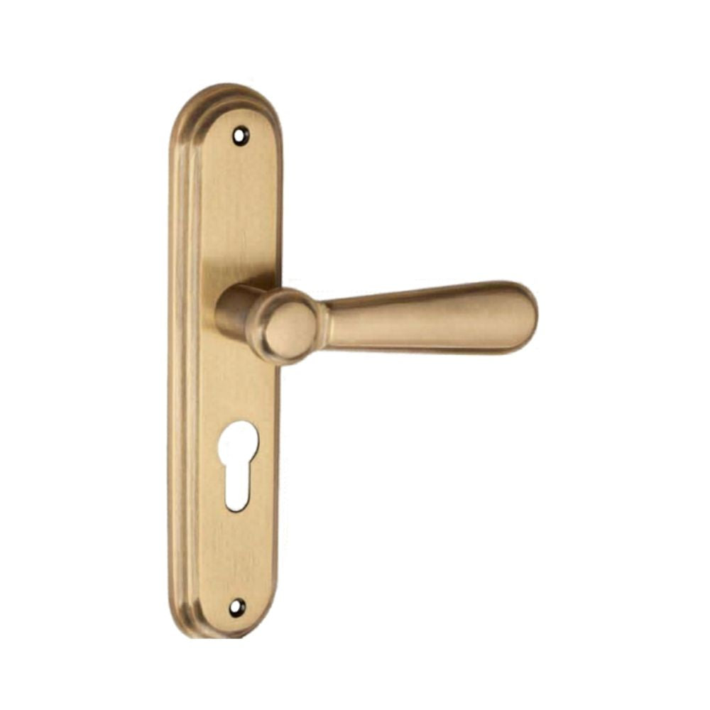 Brass Mortice Handle Antique Finish 8 Inch RIO