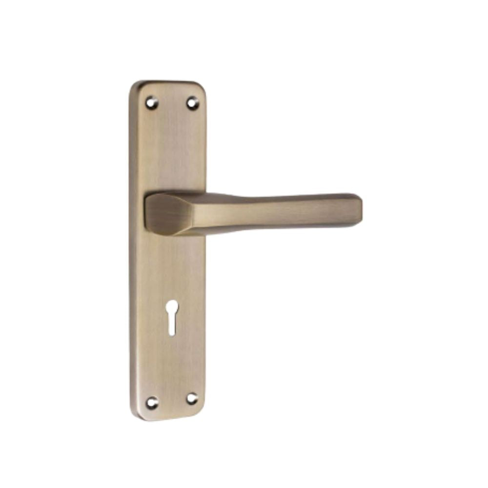 IRON/M.S Series SS/Antique Mortice Handle WIH-815 8 Inch