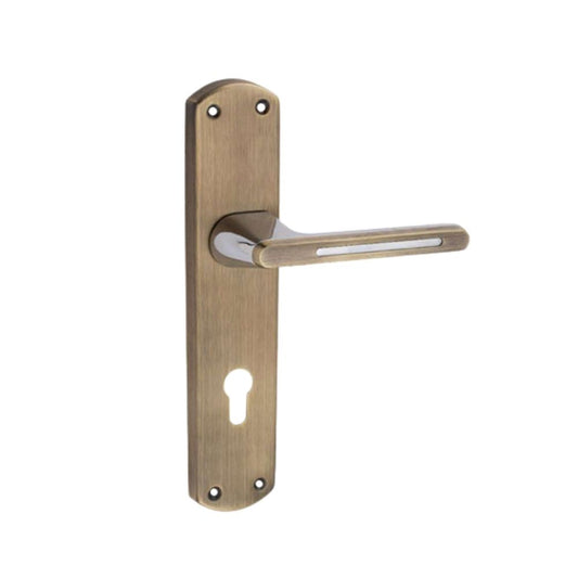 SS/Antique Mortice Handle RUDRA G.O Series