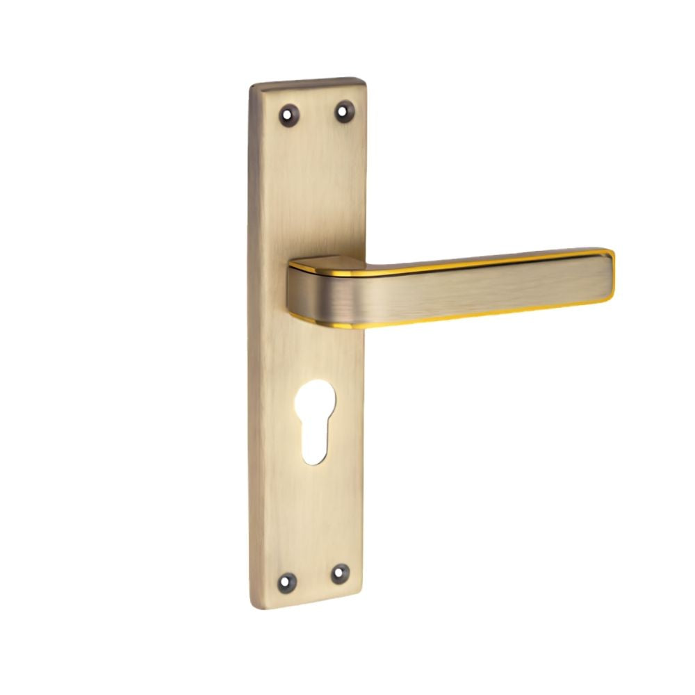SS/G.O Series Mortice Handle Finish (ZSM-A7)