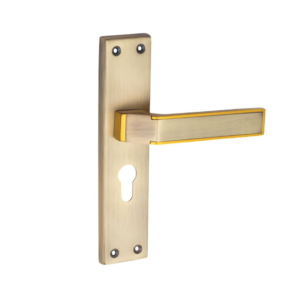 SS/G.O Series Mortice Handle Finish (ZSM-A11)