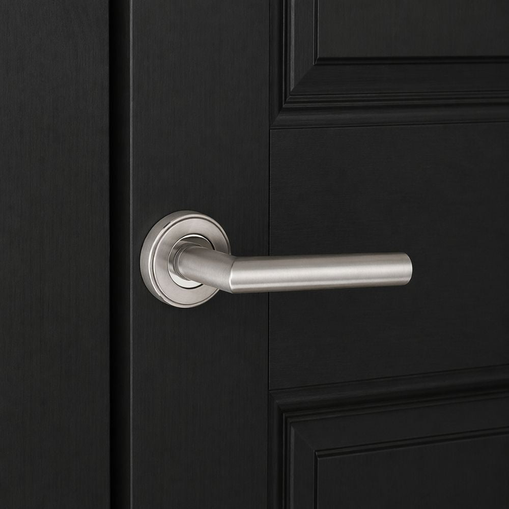 Stainless Steel Handle GSL-01 with Rose | Lever Handle with Cylinder Lock