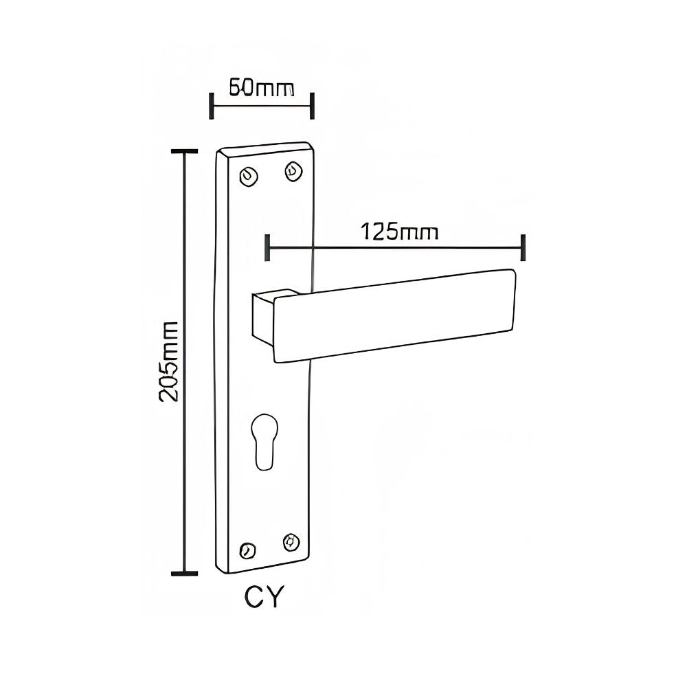 SS/G.O Series Mortice Finish lever handle (ZSM-A6)