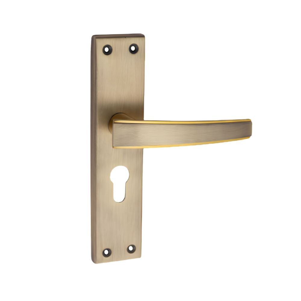 SS/G.O Series Mortice Handle Finish (ZSM-A9)