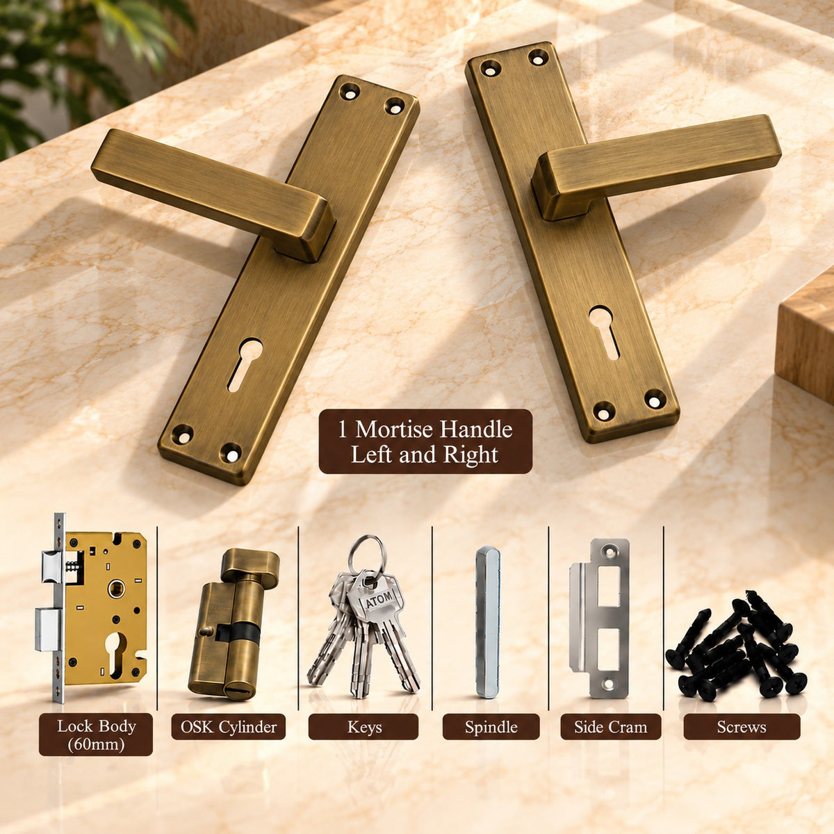 SS/Antique Mortice Handle FORTUNE G.O Series