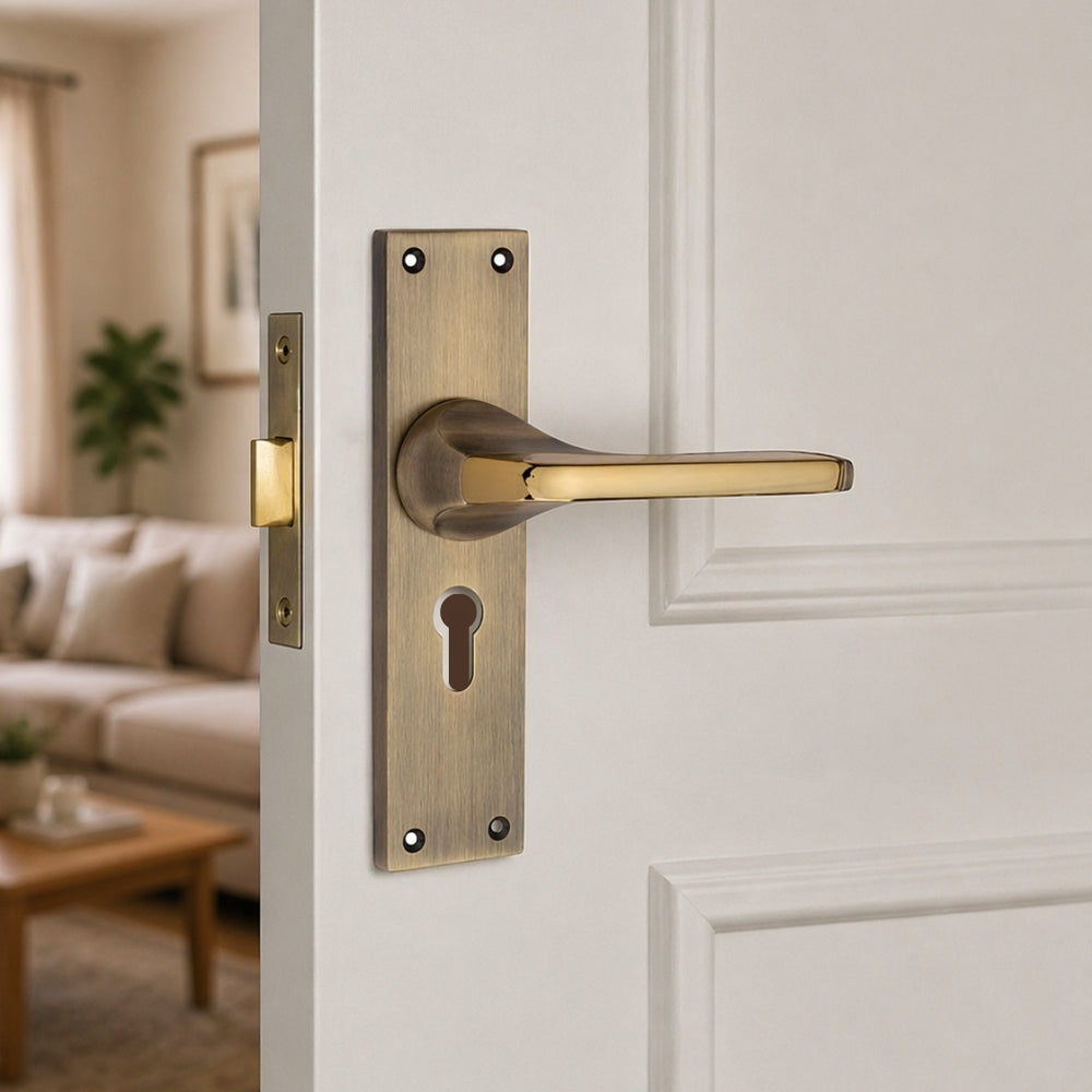 Gold Antique Handle with Cylinder Lock Plate 60mm CY (O-79)